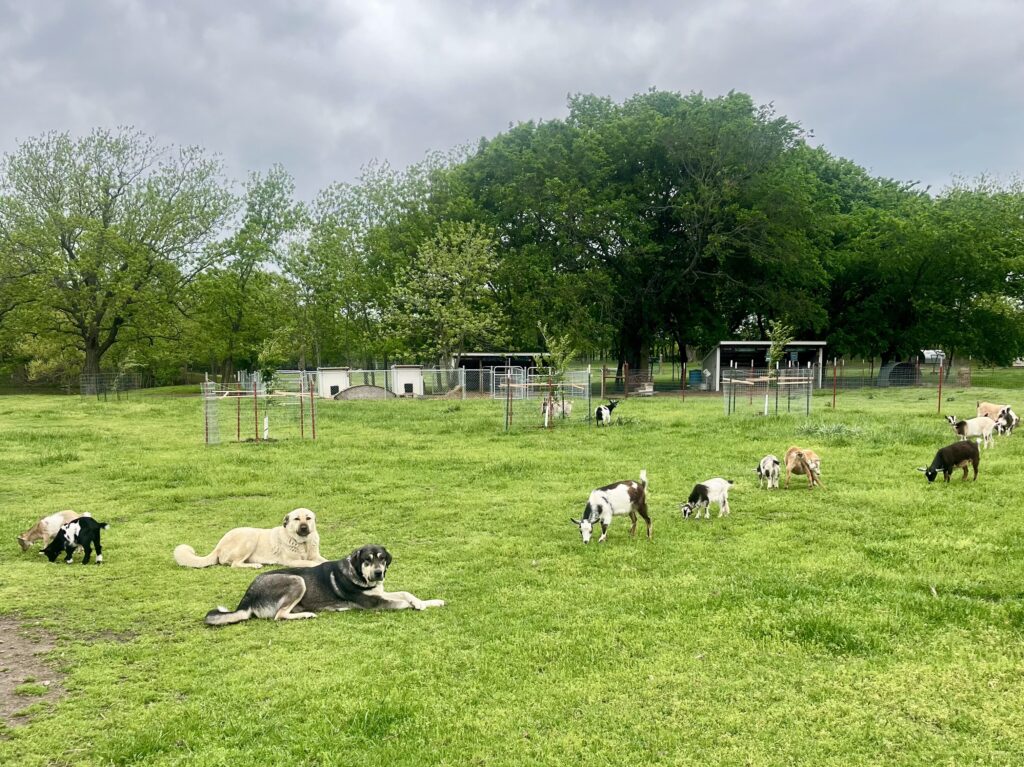Martins Landing Farm