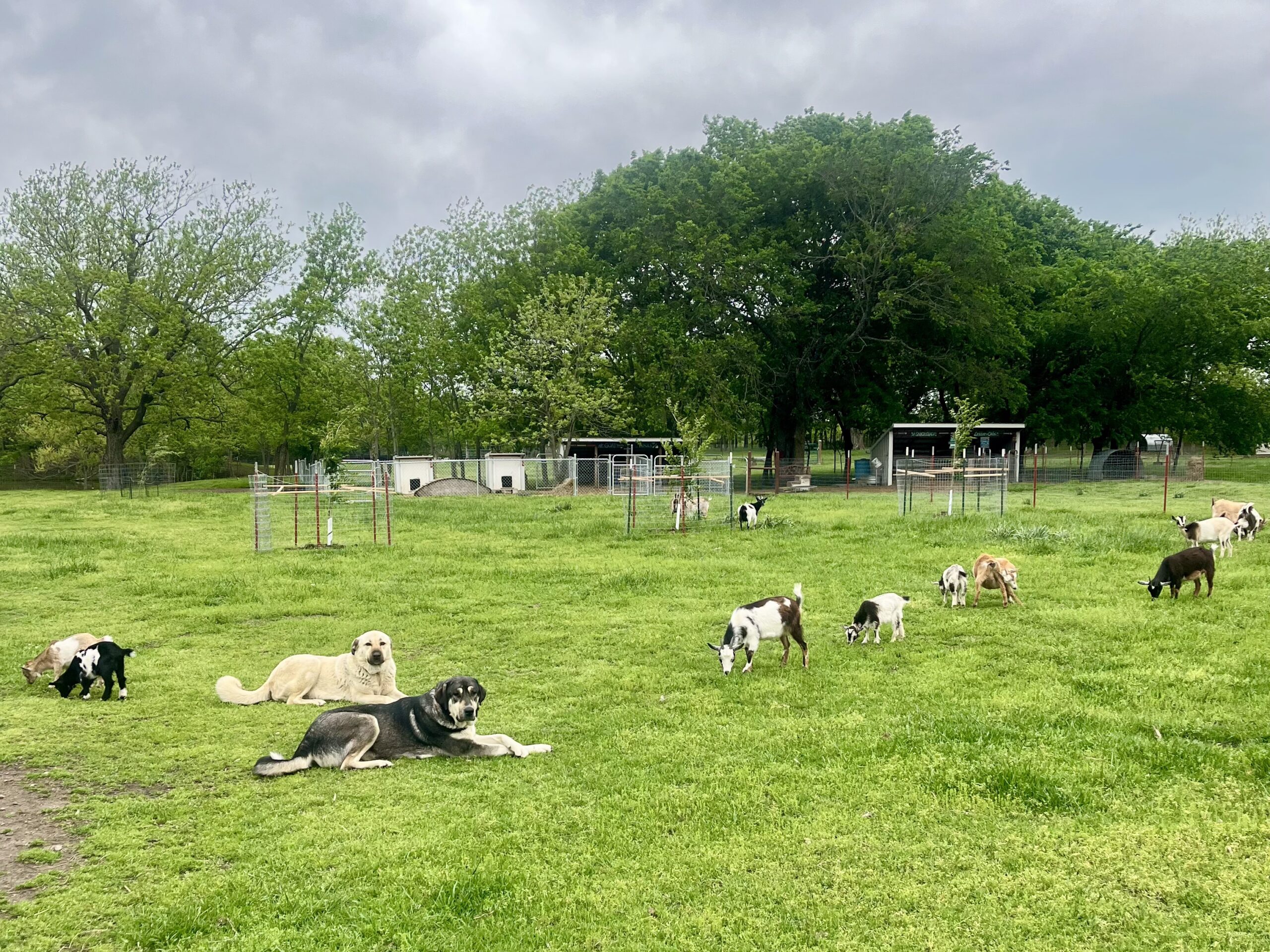 Martins Landing Farm